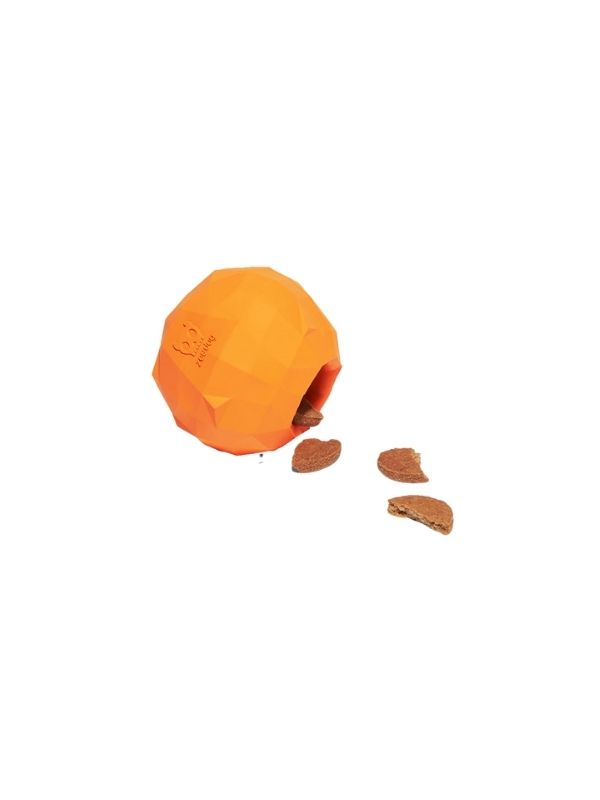 Zee.Dog Super Laranja Zee.Dog Super Laranja